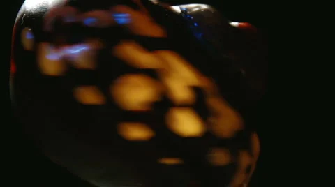 Sea snail fast rotating black background macro Vídeo Stock 1045244