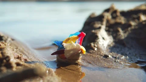 Sea snail gathering micro plastic pieces as food. Plastic waste used by a whe Vídeo Stock 151579584