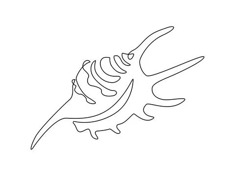 Sea snail shell murex. Continuous one line drawing of mollusk seashell in linear Stock Illustration