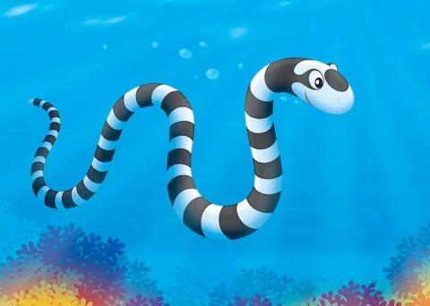 Sea snake Stock Illustration