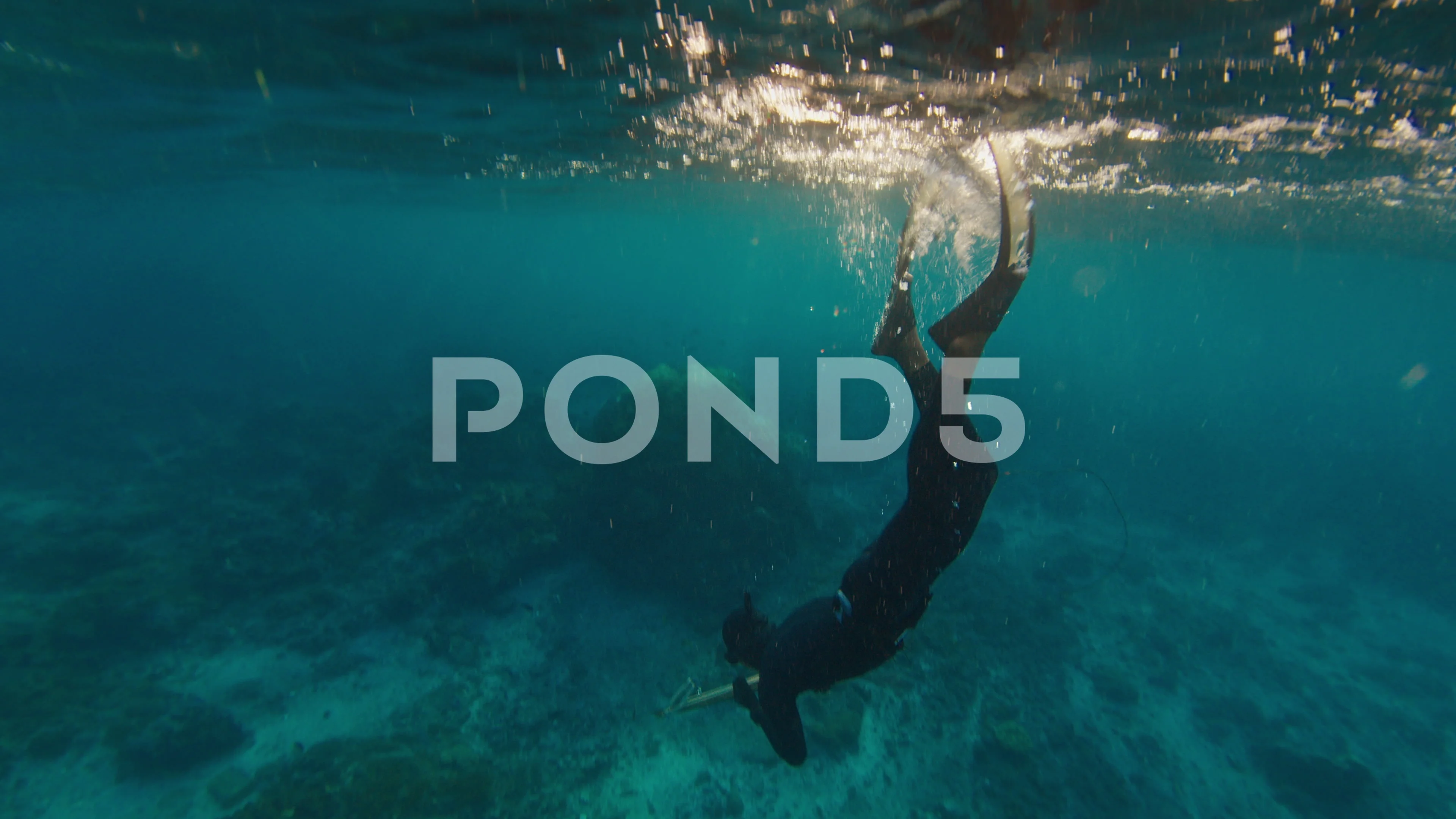 Sea spearfishing. Freediver inhales and , Stock Video