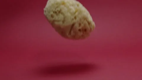 A sea sponge that falls down Stock Footage 198371993