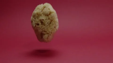 A sea sponge that falls down Stock Footage 198372022