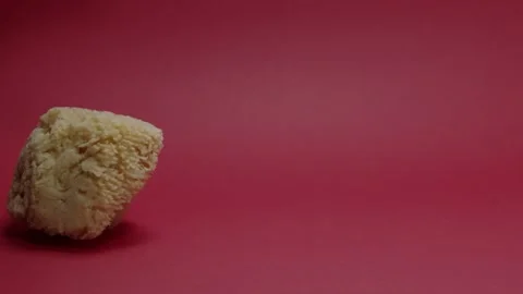 A sea sponge that falls down Stock Footage 198372023