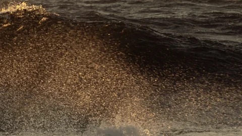 Sea spray at sunset, breaking wave, slow motion Video stock 94681997