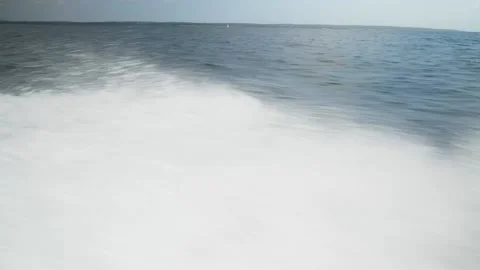 Sea spread Stock Footage 131345716