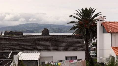 Sea Stack, Palm Tree and Spanish Roofs. Madalena, Pico, Portugal, Azores Stock Footage 238404130
