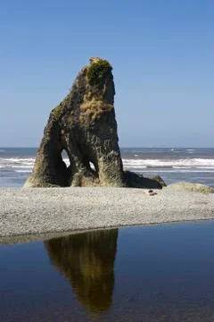 Sea stack, west coast, pacific, olympic peninsula, washington, usa 스톡 사진
