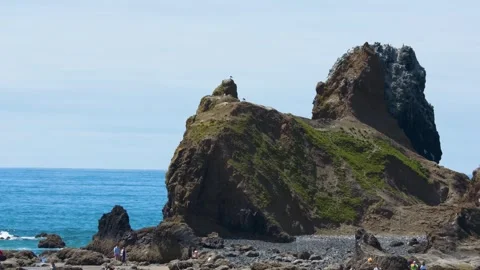 Sea Stack at Whatipu Beach in Waitākere Ranges Regional Park, New Zealand – 4K A 스톡 동영상 309280487