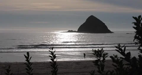 Sea stacks with gentle waves breaking on a sandy beach in Oregon 库存影片 251501055