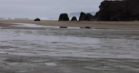 Sea stacks on a sandy beach in Oregon 库存影片 251568542