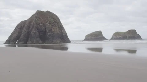 Sea stacks tower over smooth sandy beach as seagull flies by, static shot Stock Footage 332255342