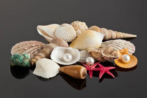 Sea star and shells 스톡 사진