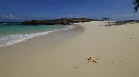 Sea star on the beach 스톡 동영상 48276663