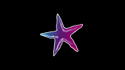 Sea star 스톡 동영상 242338910