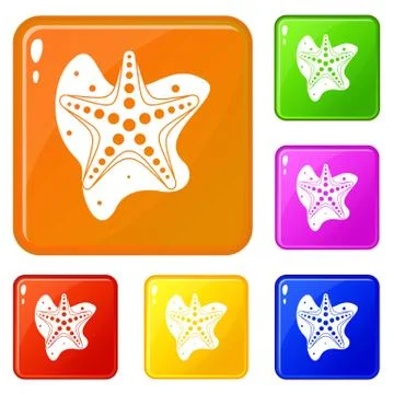 Sea star icons set vector color Stock Illustration