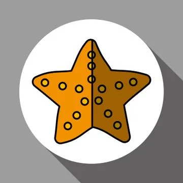 Sea star vector illustration , vector icon Illustrazione stock