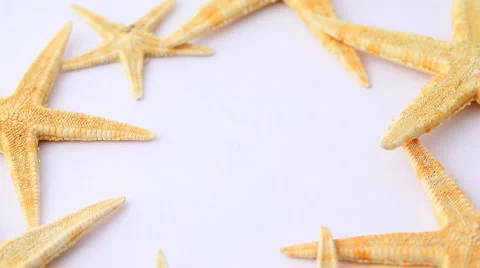 Sea stars aligned in circle rotate on white Stock Footage