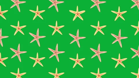 SEA STARS PATTERN 2 Stock Footage 242939120