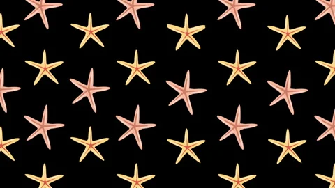 SEA STARS PATTERN ON BLACK Stock Footage 242938970