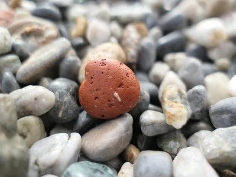 Sea stone (pebble) Stock Photos