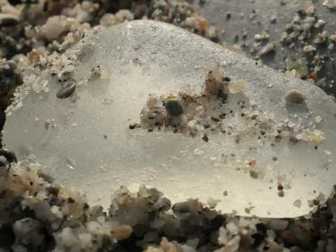 Sea stone (pebble) Stock Photos
