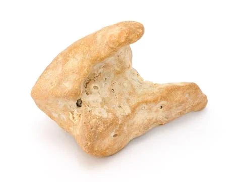 Sea stone 库存照片