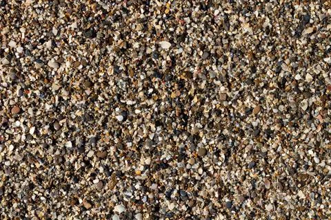 Sea stone texture with many seashells. beautiful textured background. Stock Photos