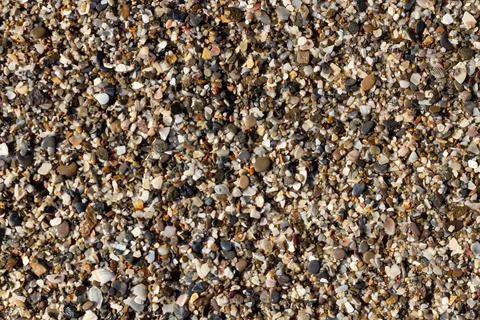 Sea stone texture with many seashells. beautiful textured background. Stock Photos