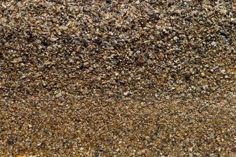 Sea stone texture with many seashells. beautiful textured background. Stock Photos