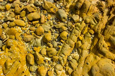 Sea stone texture of the soil Stock Photos