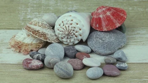 Sea stones and shells Stock Footage 81114101