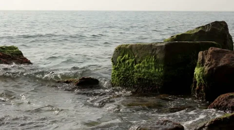 Sea stones covered with algae Stock Footage 47841270