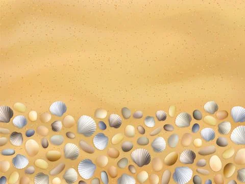 Sea stones on the sand. Shells. Vector seashore. Summer background. Stock-Illustration