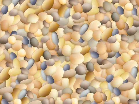 Sea stones on the sand. Shells. Vector seashore. Summer background. Stock-Illustration