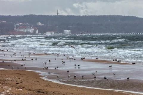 Sea in a storm Stock Photos