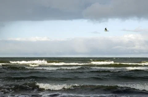 Sea before the storm. Stock Photos