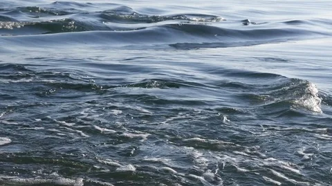 Sea stream Stock Footage 84271537