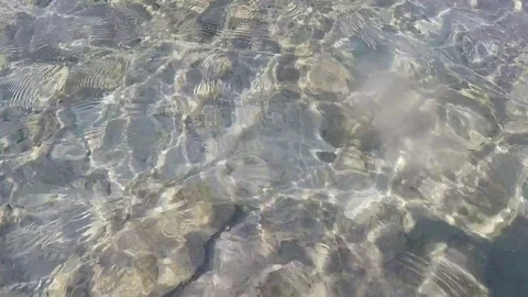 Sea sun reflections and immersion Video stock 77732532