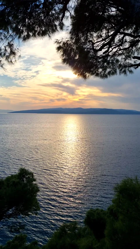 Sea sunset with bright sun reflection on water surface framed by pine trees. Vídeos de archivo 335796754
