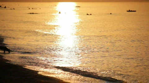 Sea sunset Stock Footage 874554