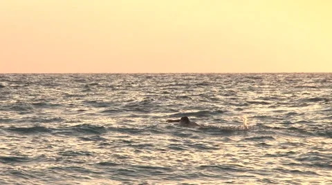 Sea before sunset Stock Footage 45490022