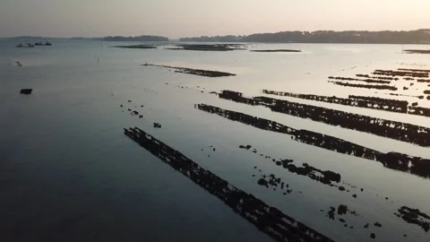 Sea at sunset 動画素材 284031951