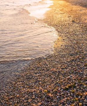 Sea sunset Stock Photos