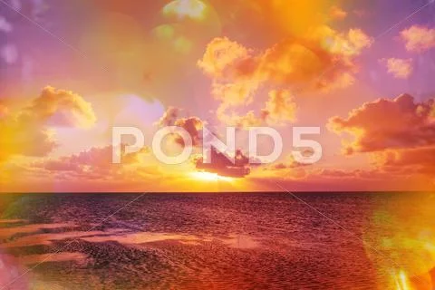 Sea sunset Stock Photos