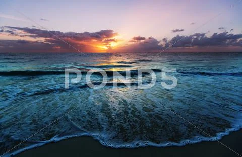 Sea sunset Stock Photos