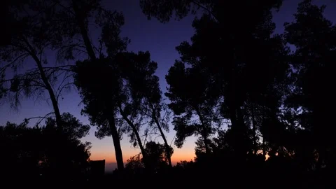 Sea , sunset sky, red sky, evening sky 库存影片 124684442