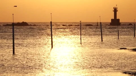 Sea at sunset, sunset reflected at ocean Stock-Footage 303391164