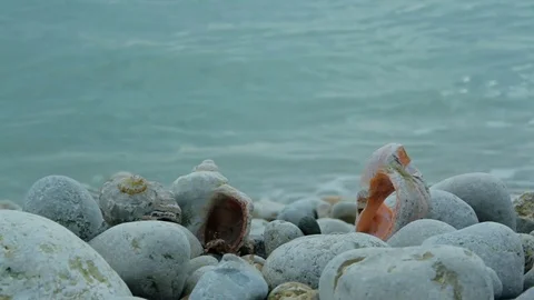 Sea surf on the background of rocks and seashells Stock Footage 75695818