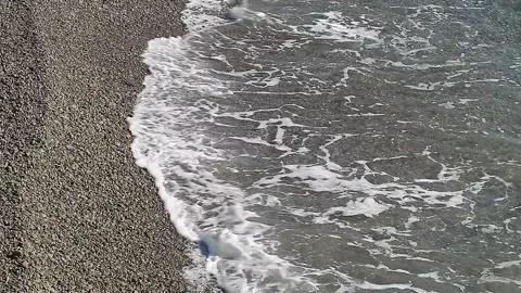 Sea surf close-up on pebble beach at day Video stock 264092237